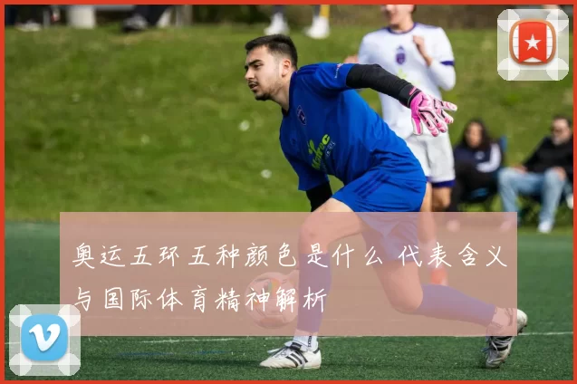 奥运五环五种颜色是什么 代表含义与国际体育精神解析