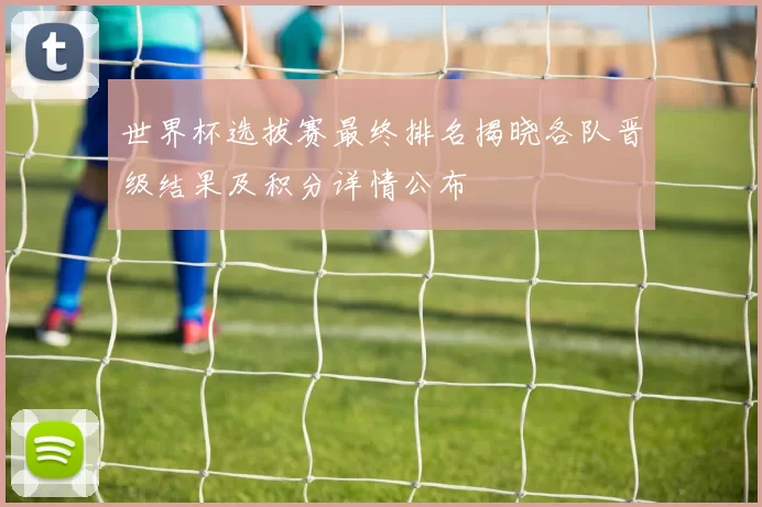 世界杯选拔赛最终排名揭晓各队晋级结果及积分详情公布