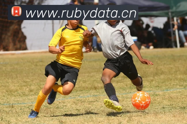 米兰官方版网站登录入口 - 米兰MiLan(中国)全站App